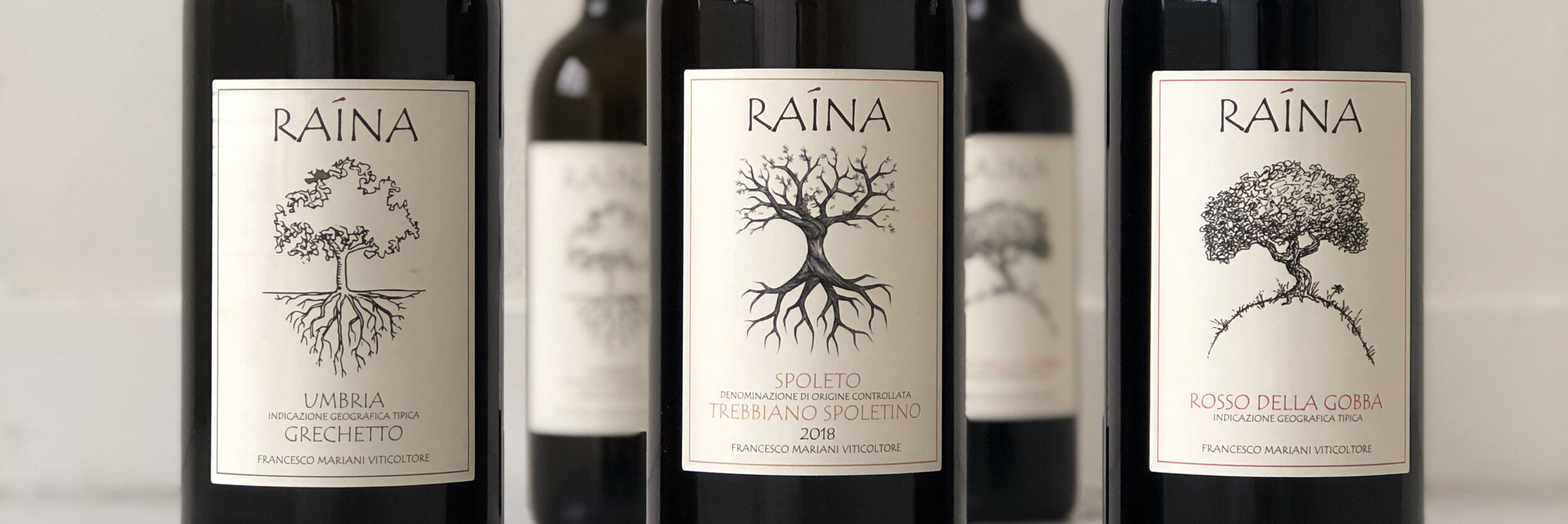 Bestel hier je flessen in groot formaat. — Vino Per Tutti.NL